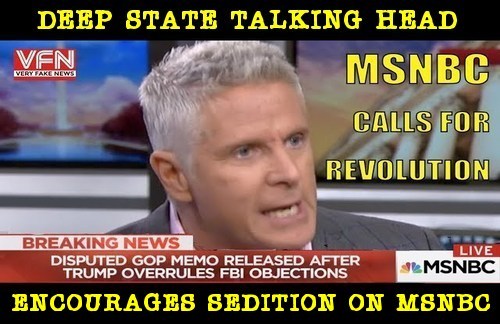 MSNBC_CALLS_FOR_SEDITION.jpg