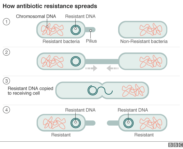 _86775358_antibiotic_resistance.png