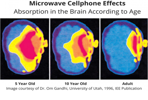 micro_cell_effects.png