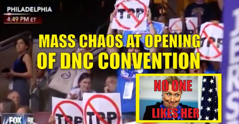 xChaos-At-DNC-01-800x416.jpg.pagespeed.ic.OHbhcF2zOt.jpg